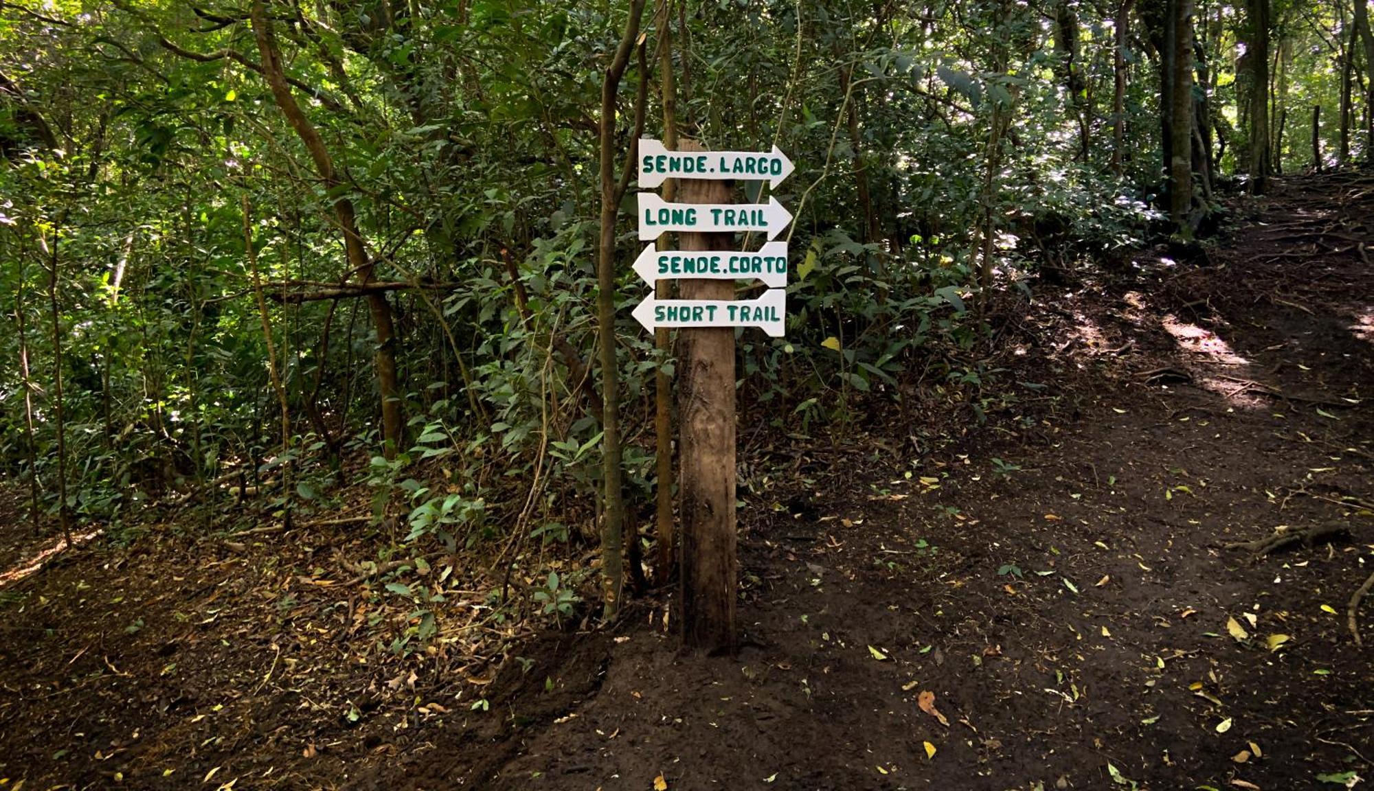 Hotel Montana Monteverde Εξωτερικό φωτογραφία